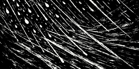 Abstract grunge texture with black and white starburst fireworks pattern and dandelion plant macro illustration