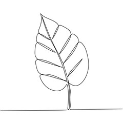 Outline of a single leaf in minimalist style on white background  