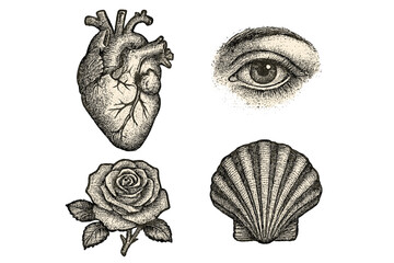 Vintage vector set with human heart, eye, rose, and seashell. Retro engraving illustration with stippling dotwork texture. Grunge photocopy effect for tattoo design.