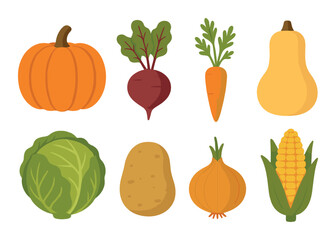 Colorful autumn harvest vegetables illustration with pumpkin, beet, carrot, and more