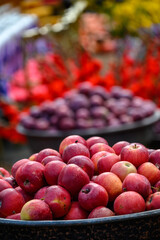 Crates of apples at Tbilisoba Tbilisi City Fest, annual Autumn harvest festival celebrated in Tbilisi, the capital of Georgia