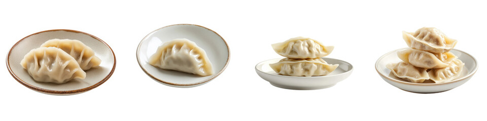 Variety of steamed dumplings set on plates, isolated collection