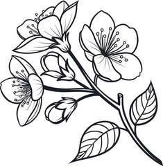 Elegant line art camellia flower with soft round petals