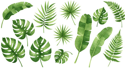 Watercolor tropical leaves collection isolated on transparent background
