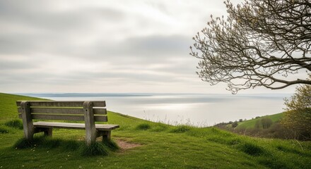 Serene Bench Overlooking a Calm Lake under a Cloudy Sky