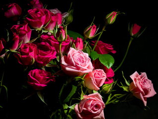 A bouquet of spray roses