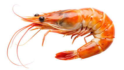 A delicious cooked tiger prawn isolated on transparent background, showcasing its vibrant orange color and delicate texture, perfect for seafood lovers and culinary enthusiasts