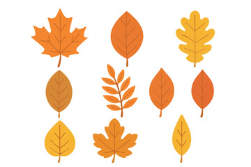 Big set of colorful autumn leaves. Fall leaf icon collection. Flat vector cartoon illustration. Seasonal forest foliage elements like maple, oak for graphic design isolated.