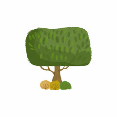 Hand drawn tree illustration 
