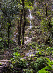 Waterfall and jungle at Laguna Brava Yolnabaj lake, Guatemala