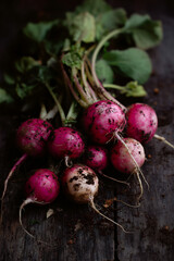 bunch of fresh radishes