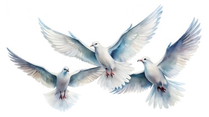 Fototapeta premium Three white doves in flight, symbolizing peace, love, and spirituality, isolated on white background graceful birds with outstretched wings against a clean backdrop