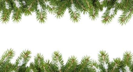 Green fir branches with soft white snow, forming an organic top and bottom border on a transparent background with copy space, festive winter holiday concept