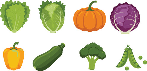 Colorful Vegetable Illustration Set Featuring Lettuce, Cabbage, Pumpkin, Bell Pepper, Zucchini, Broccoli, Peas for Healthy Food Concepts