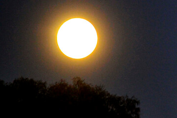 A vibrant full moon illuminates the twilight sky