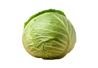 A vibrant green whole cabbage with unfurling outer leaves and a crisp core, dewy texture, on a light wooden surface against a transparent seamless background with copy space, clean product photography