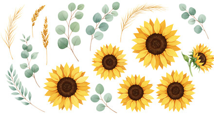 Sunflower and eucalyptus arrangement isolated on transparent background