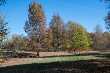 Landscape of South Park in city of Sofia, Bulgaria