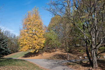 Landscape of South Park in city of Sofia, Bulgaria