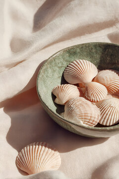 seashells in a bowl