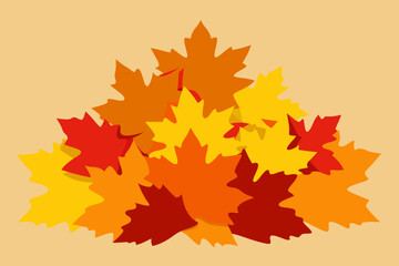 Fototapeta premium Pile of colorful maple leaves in autumn colors