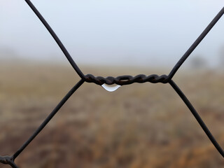 A water drop hanging on a fence wire. A foggy and blurry landscape in the background,fence wire,
water drop, Blurred background, foggy, blurry landscape,close up,