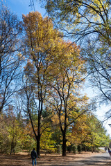 Landscape of South Park in city of Sofia, Bulgaria