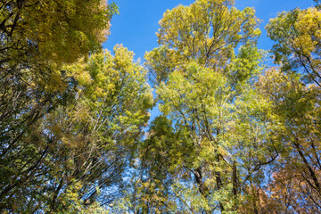 Landscape of South Park in city of Sofia, Bulgaria