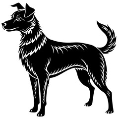 black and white dog