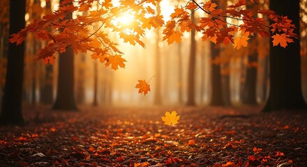 vCozy autumn scene with falling leaf and warm sunlight through trees