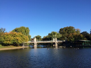 Fototapeta premium US Boston City with bridge over the river in the park