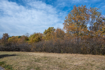 Fototapeta premium Landscape of South Park in city of Sofia, Bulgaria