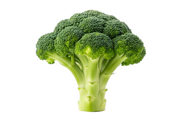 Fresh Broccoli Florets Healthy Eating, Green Vegetables, Vitamin Boost