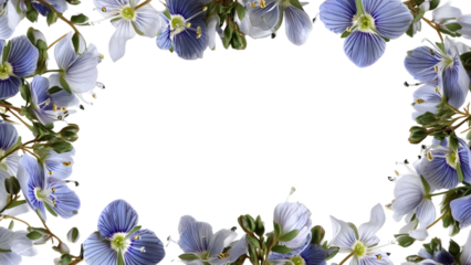 PNG of A beautiful floral frame featuring delicate blue and white flowers, perfect for enhancing a creative design.