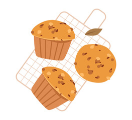 Pumpkin cupcake and muffin. Sweet autumn dessert, cozy seasonal bakery. Recipe or snack concept. Flat vector illustration.