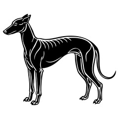 Sleek black silhouette of a greyhound dog standing