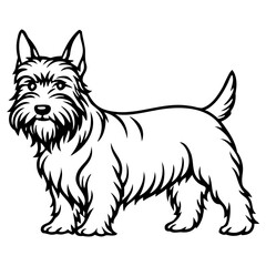Cute scottish terrier dog illustration standing