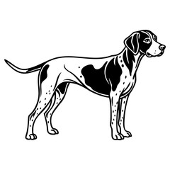 Black and white illustration of a pointer dog standing