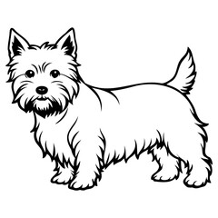 Cute west highland white terrier dog illustration standing