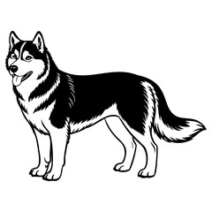 Black and white illustration of a standing husky dog