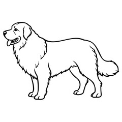 Cute golden retriever dog standing in profile