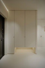 Elegant and simple hallway with a built-in wardrobe, dimmed lighting, and modern door handles, offering a stylish and functional entryway.