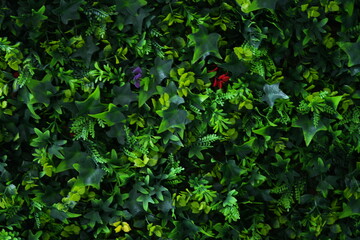 Artificial green ivy wall — realistic leaf texture used for interior decoration, hospitality design, and eco-style branding. Perfect background for hotels, restaurants, spas, architecture projects, an