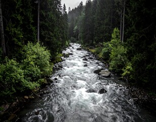 Mountain river flowing through lush forest