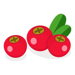 3D Isometric Flat  Set of Berries. Item 13