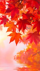 Vibrant autumn leaves reflect in a tranquil water surface, showcasing the beautiful hues of fall.
