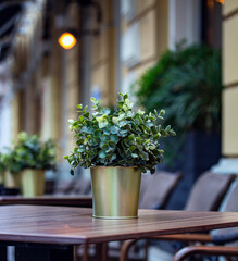 A table in a cafe against the backdrop of a city landscape