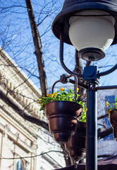 Old street lamp wıth flower