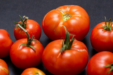 red tomatos for background.Branch of red tomatoes closeup, fresh food.bio tomatos