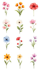 happy women day, women day banner, women day background, happy women day, women month, international women day, women day, women background, day background, women banner, day banner, women history mon